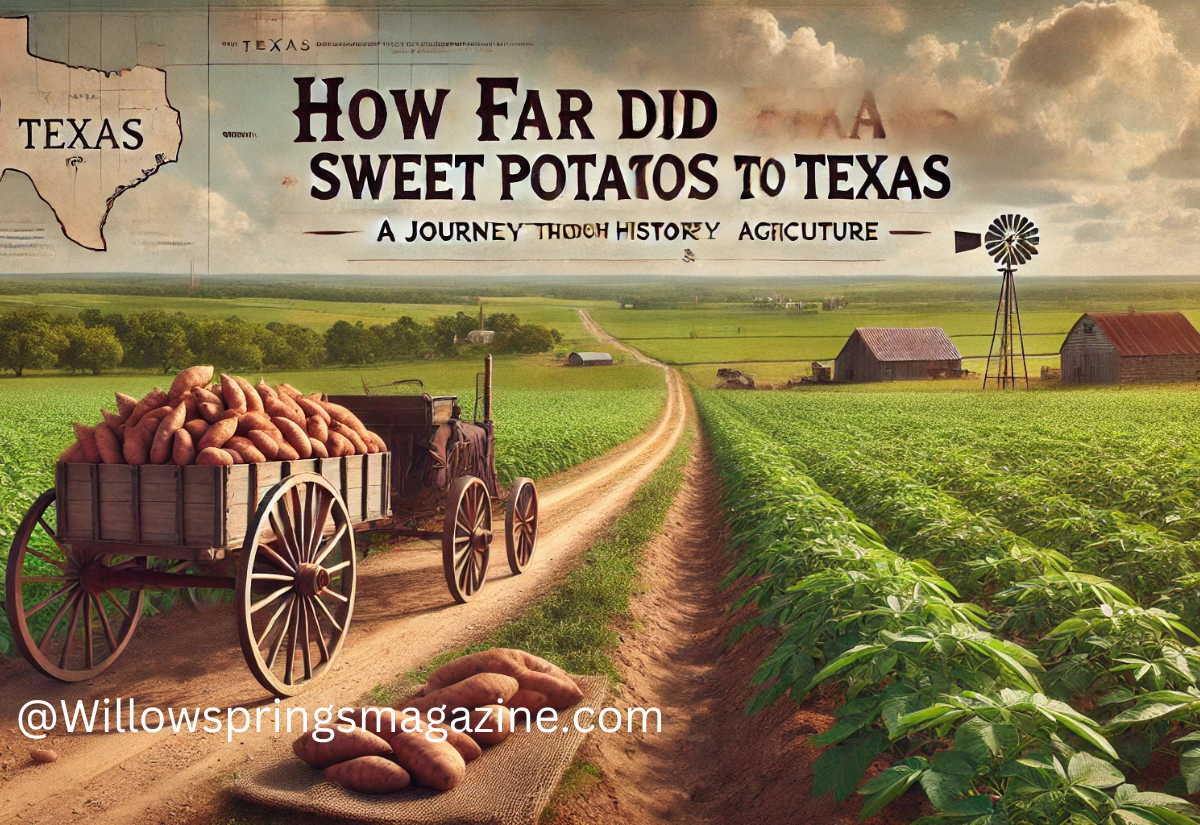 how far did sweet potatoes travel to texas